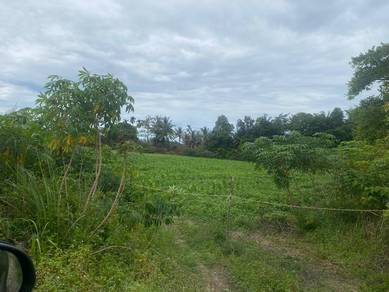 Residential Land in Kota Bharu, KTN