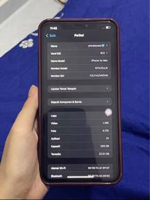 xsmax 256