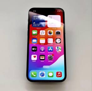 iPhone 12 Pro