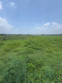 Agricultural Land in Marang, TRG