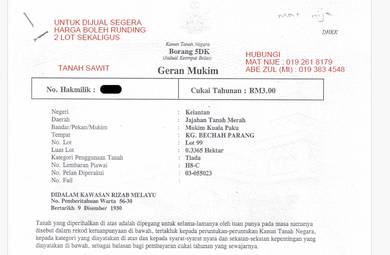 Agricultural Land in Tanah Merah, KTN