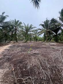 Agricultural Land in Pontian, JHR
