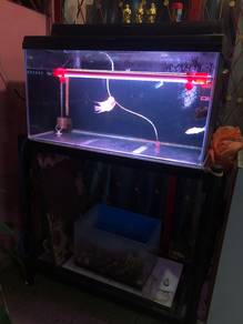 Aquarium 3ft