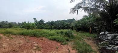 Agricultural Land in Dengkil, SGR