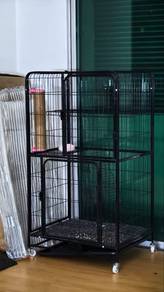 sangkar kucing area kuantan nak clear stock