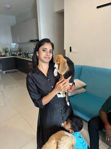 beagle puppies a