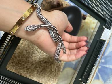 corn Snake