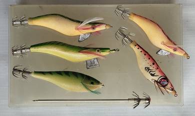 Squid Jig combo