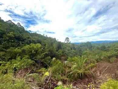 Agricultural Land in Membakut, SBH
