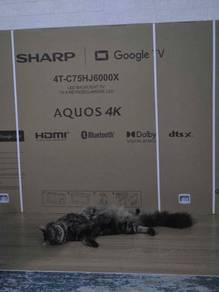 Sharp Google TV 75"