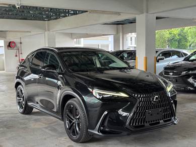 Lexus NX 250 LUXURY in Desa Petaling, KUL