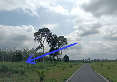 Agricultural Land in Segamat, JHR