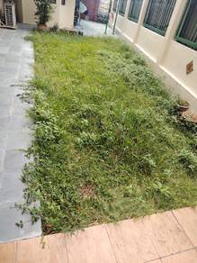 pokok bunga
