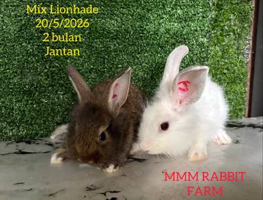 Mix Lionhade