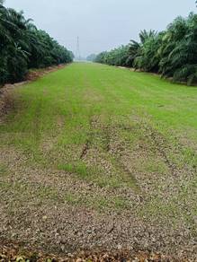 Agricultural Land in Bagan Serai, PRK