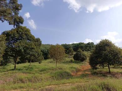 Agricultural Land in Bentong, PHG