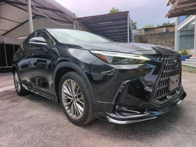 Lexus NX 250 LUXURY in Kayu Ara, SGR