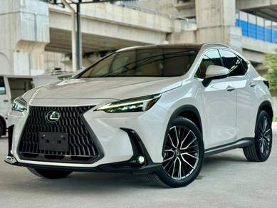 2024 Lexus NX 250 VERSION L