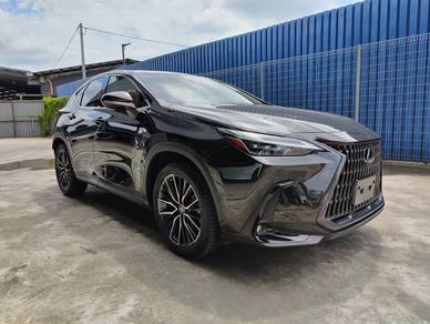 Lexus NX 250 LUXURY in Sungai Besi, KUL
