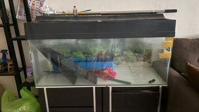 aquarium 4 kaki untuk dilepaskan