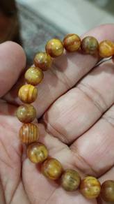 Gelang Raja Kayu Merah