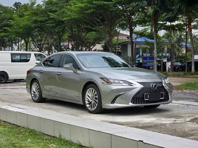 2019 Lexus ES 250 LUXURY