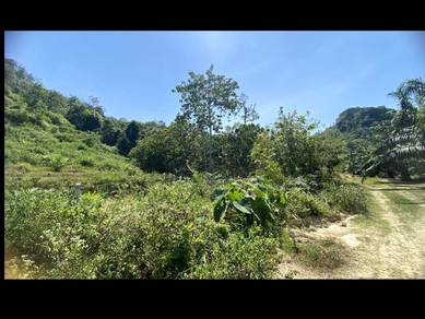 Agricultural Land in Sungai Siput, PRK