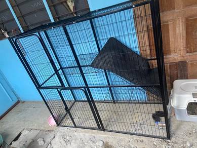 Sangkar kucing 