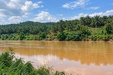 Others For Sale in Jerantut,PHG
