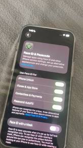 swap 14 plus atau 14 pro 