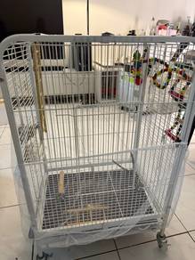Bird Cage with all accessories! Cheap sale!