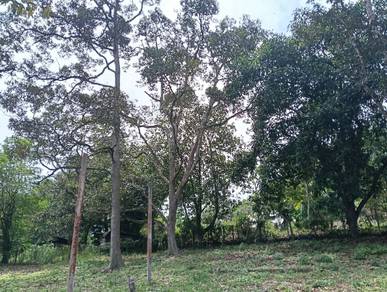 Others Land in Kuala Pilah, NSN