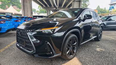 Lexus NX 250 LUXURY in Cheras, KUL