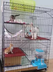 Sangkar Kucing 3 Loteng
