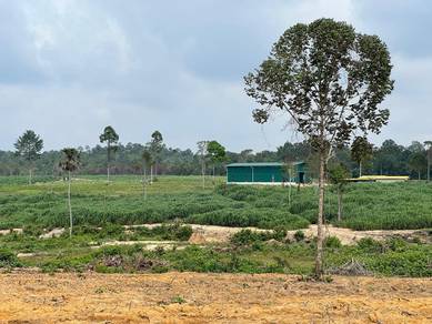 Agricultural Land in Gemas, NSN