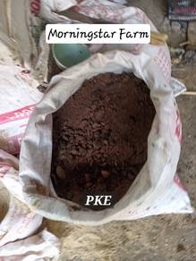 Palm Kernel Expeller PKE animal feed