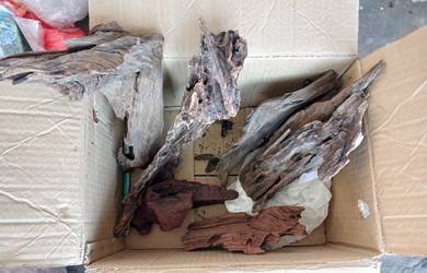 driftwood akuarium