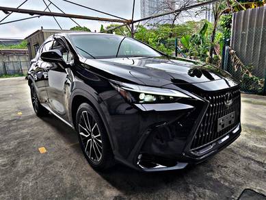 Lexus NX 250 LUXURY in Cheras, KUL