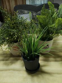 artificial potted plant , pokok hiasan, pasu,