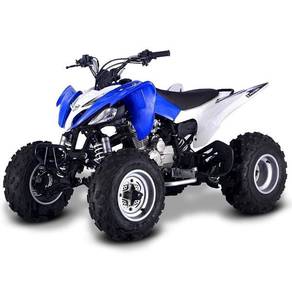 Atv Pentora 250Cc kegunaan lasak cod in perlis