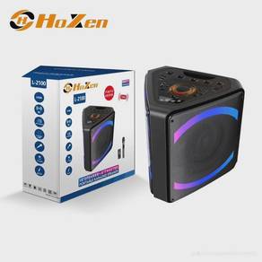 portable karaoke speaker 10inch Outdoor and indoor