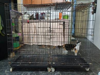 sangkar kucing kembar 3tingkat T100cm P122cm L42cm