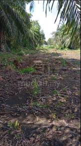 Residential Land in Semporna, SBH