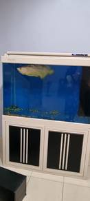 aquarium 