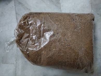 Top soil tanah merah tanah pokok semaian
