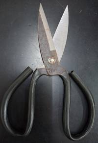 Scissors