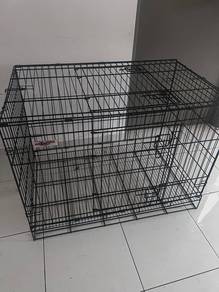 sangkar kucing