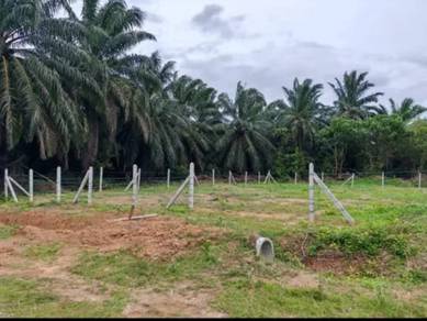 Residential Land in Alor Gajah, MLK
