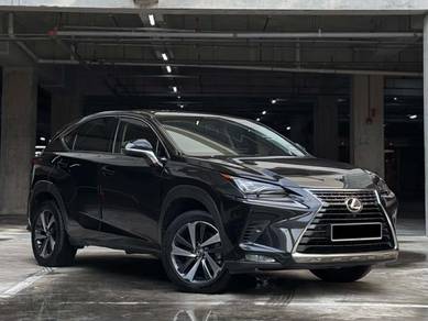 Lexus NX 300 PREMIUM in Johor Bahru, JHR