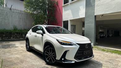 2023 Lexus NX 250 LUXURY